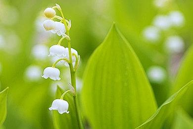 第一人称恐怖悬疑《卡戎的楼梯》10月28日登陆全平台